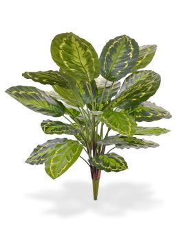 Calathea Roseopicta artificial plant 65cm (bush