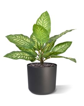 Artificial Dieffenbachia Zebra plant 25 cm (bush)