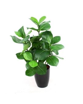 Artificial Clusia plant 40cm