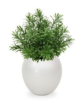 Artificial Crossostephium succulent 28cm