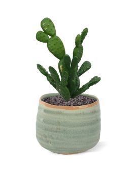 Artificial Mini Cactus 20cm (bush)