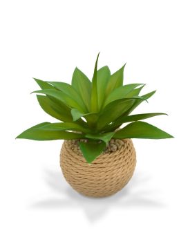 Small faux Agave in rope pot