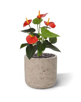 Artificial Anthurium bush 40cm red