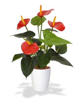 Artificial Anthurium plant 40cm red