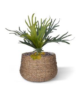 Artificial Staghorn 50 cm (bush)