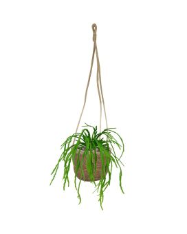 Artificial Rhipsalis Lepismium 30 cm (bush)