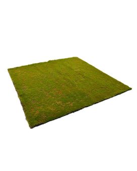 Artificial Moss mat 100x100 cm green