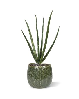 Artificial mini Sanseveria Cylindrica bouquet 20 cm