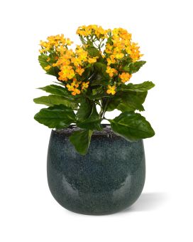 Artificial Kalanchoe bouquet 30 cm orange