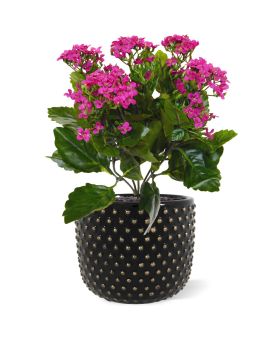 Artificial Kalanchoe bouquet 30 cm purple