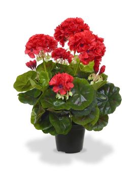 Artificial Geranium plant 40cm red