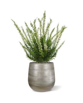 Artificial Erica Heather bush 30cm cream