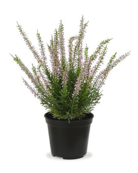 Artificial Erica Heather plant 30cm pink