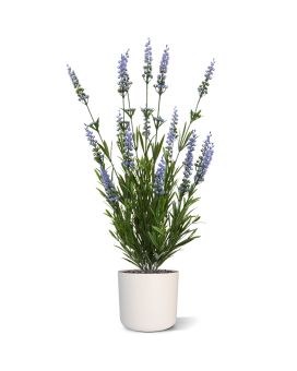 Artificial Lavender plant 50cm UV-proof blue (bush)