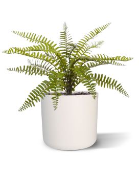 Artificial Asplenium Fern bouquet 35 cm