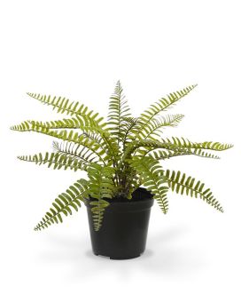 Artificial Asplenium Fern 35 cm in pot