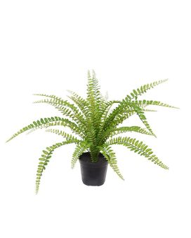 Artificial Asplenium Fern 45 cm in pot