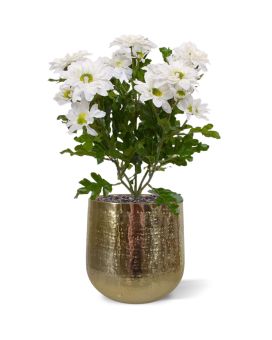 Artificial Chrysant bouquet 35 cm cream