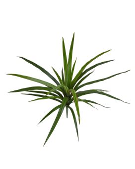 Draceana Marginata Artificial Plant 40cm