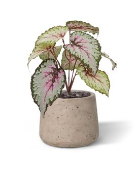 Artificial Begonia plant 25 cm (bush)