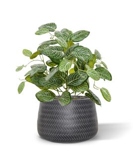 Artificial Fittonia plant 40 cm Varigated (bush)