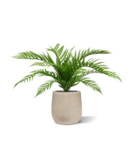 Artificial Alsophilla Fern bouquet 60 cm UV