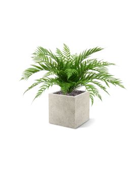 Artificial Alsophilla Fern bouquet 75 cm UV