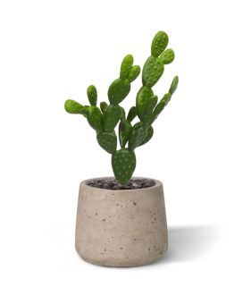 Artificial Opuntia Cactus 30cm green (bush)