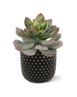 Artificial Echeveria 25cm green-red (bush)