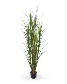 Artificial Reed Grass deluxe 165 cm green