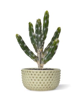 Artificial Tetragonus cactus bouquet 35 cm green