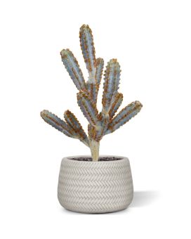 Artificial Tetragonus cactus bouquet 45 cm brown