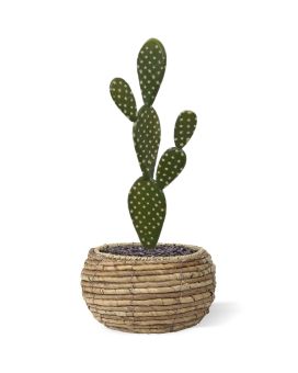 Artificial Opuntia Cactus 40cm (bush)