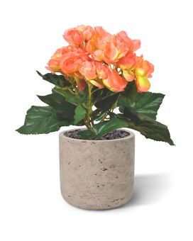 Begonia artificial plant 20cm - salmon colored