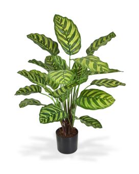 Artificial Calathea Makoyana plant 60cm