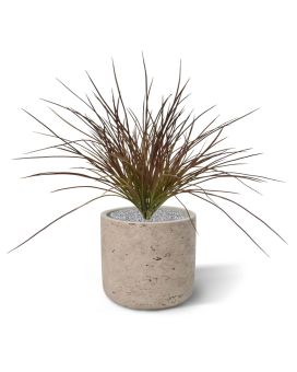 Artificial Grass bush W 40cm Burgundy