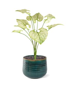 Artificial Brunnera artificiel bush 55cm creme-green