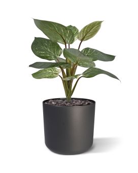 Artificial Philodendron Birkin plant 30cm
