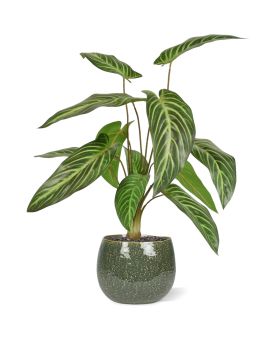 Artificial Caladium Lindenii plant 50cm (bush)
