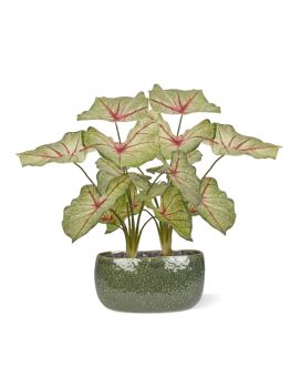 Artificial Caladium white queen plant 45cm