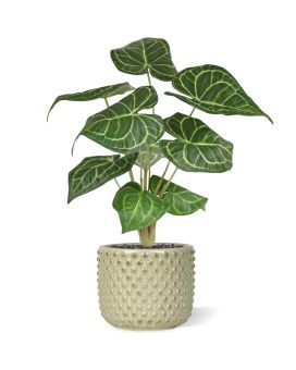 Anthurium Clarinervium artificiel plant 35cm (bush)