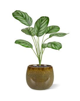 Artificial Calathea Maranta plant 30cm (bush)