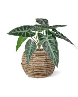 Artificial Alocasia Polly plant 30cm (bush)