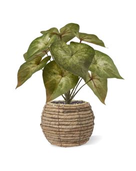 Syngonium Podophyllum Artificial Plant 28cm