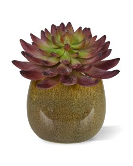 Echeveria Artificial Cactus Burgundy 15cm