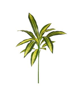 Draceana Fragrans 70cm Artificial Plant Burley