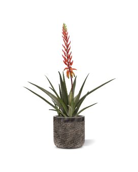 Aloe Vera Artificial plant 75cm red