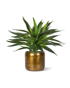 Draceana Artificial plant green 30cm