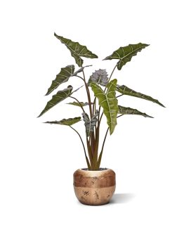 Artificial Alocasia Sarian plant 140cm