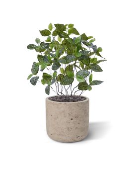 Fittonia Mont Blanc artificial plant 50cm